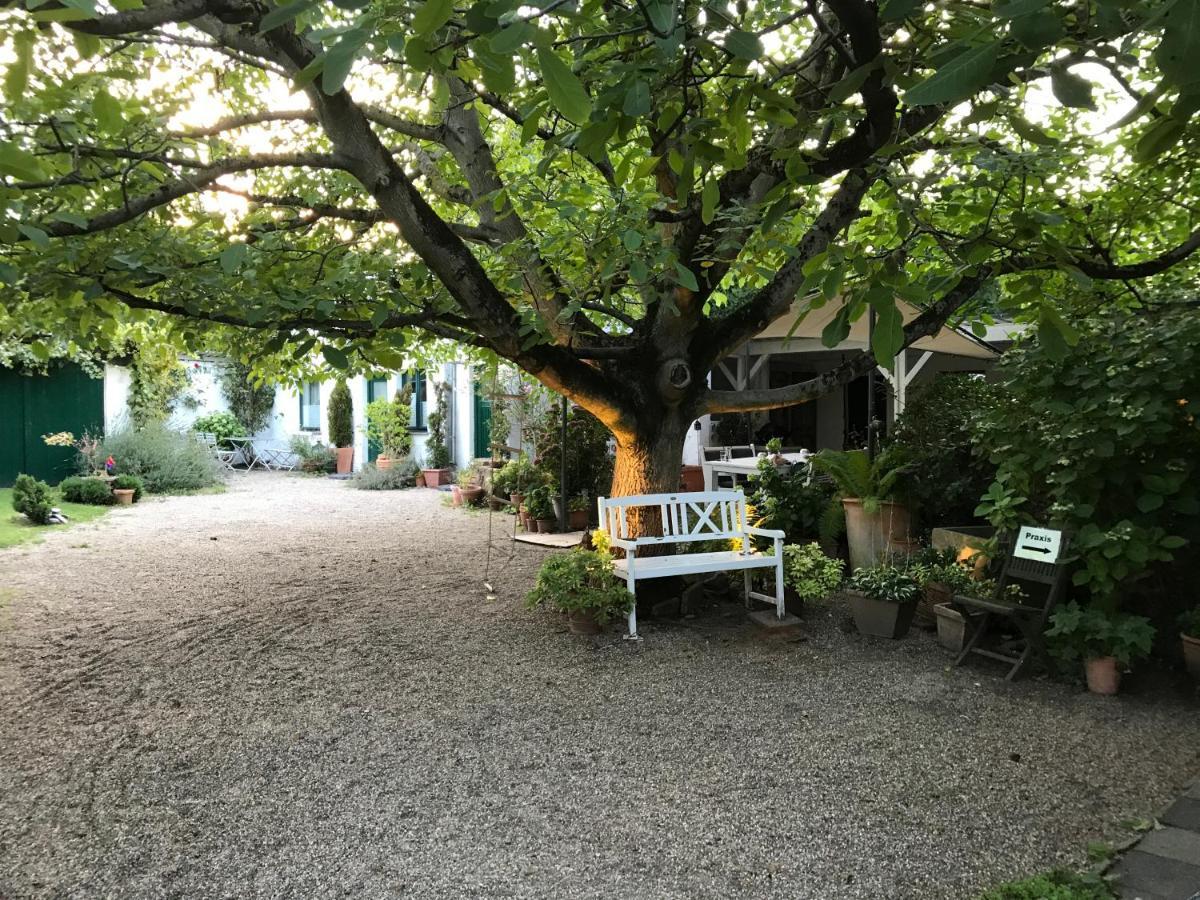 Ferien- Und Messewohnung In Meerbusch Exteriör bild